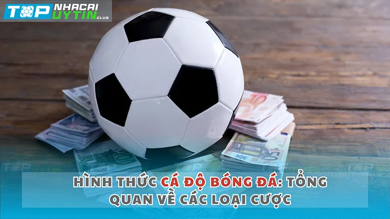 Hình Thức Cá Độ Bóng Đá: Tổng Quan Về Các Loại Cược