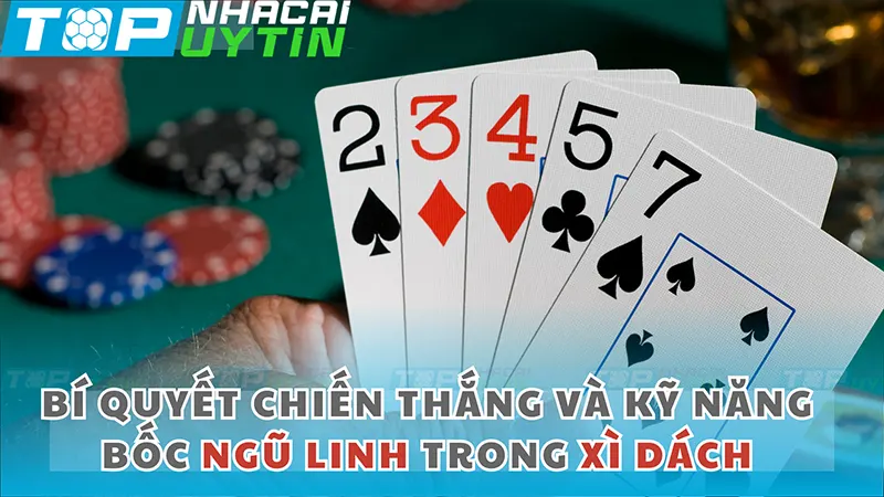 bi quyet chien thang va ky nang boc ngu linh trong xi dach - Sức Mạnh Của Ngũ Linh Trong Bài Xì Dách