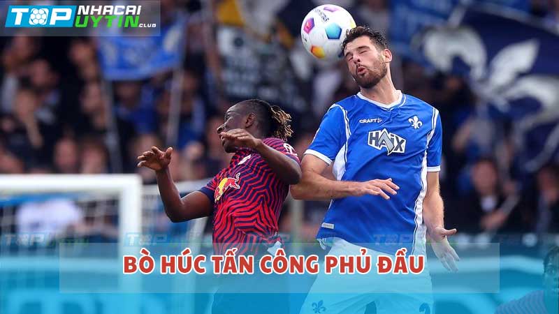 Bò húc tấn công phủ đầu