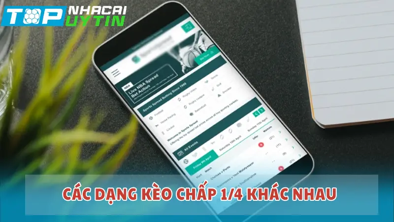 Các dạng kèo chấp 1/4 khác nhau