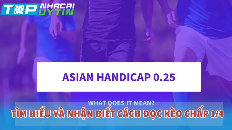 Tìm hiểu và nhận biết cách đọc kèo chấp 1/4 