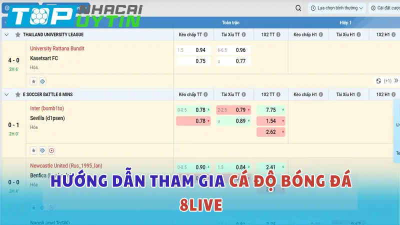 Hướng dẫn tham gia cá độ bóng đá tại nhà cái 8LIVE