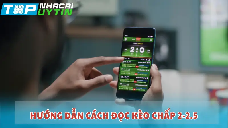 Hướng dẫn cách đọc kèo chấp 2-2.5