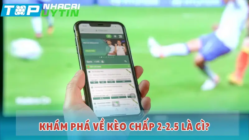 Khám phá về kèo chấp 2-2.5 là gì?