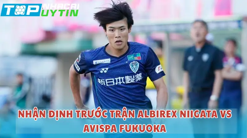 Nhận định trước trận Albirex Niigata vs Avispa Fukuoka