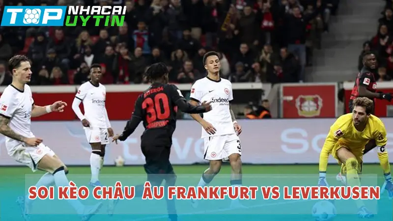 Soi kèo Châu Âu Frankfurt vs Leverkusen