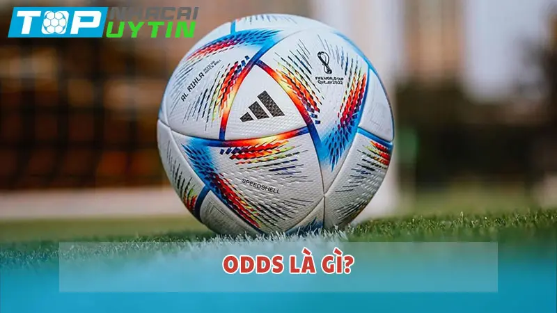 Odds là gì? tỷ lệ Odds phổ biến và cách soi Odds hiệu quả