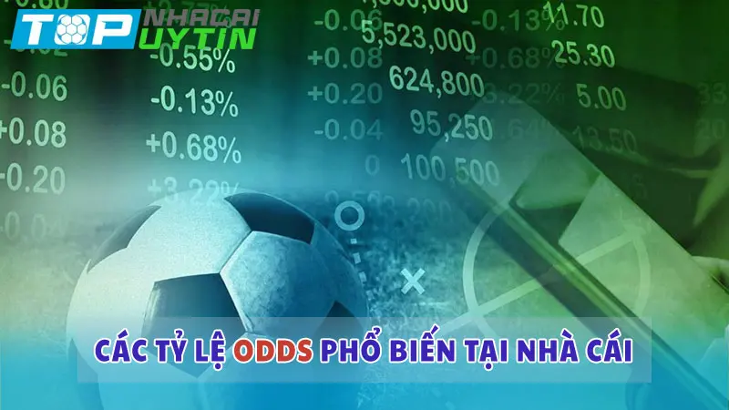 Các loại tỷ lệ Odds phổ biến tại nhà cái