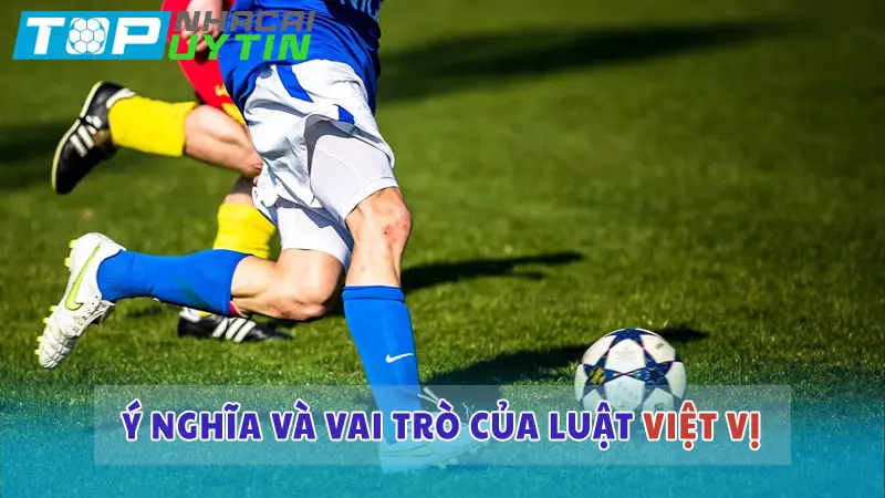 Ý nghĩa và vai trò của luật việt vị